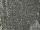 image of grave number 972993